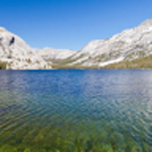 Meet your Posher, Owen